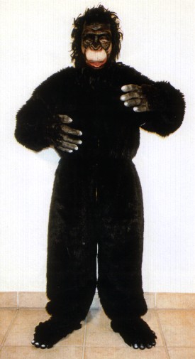 Gorilla
