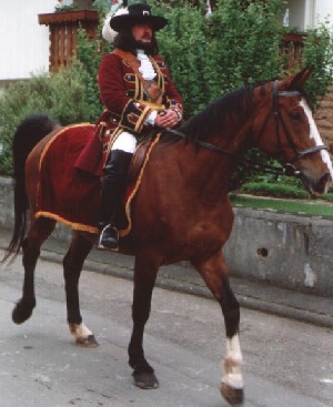Offizier zu Pferd