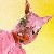 Schwein
